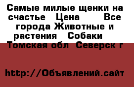 Самые милые щенки на счастье › Цена ­ 1 - Все города Животные и растения » Собаки   . Томская обл.,Северск г.